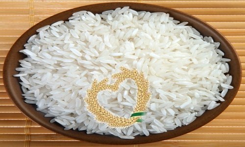 IRRI-9 Rice
