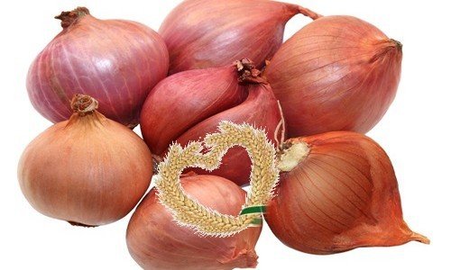 Shallots Indonesian Red Onion Traditional Organic Stock Photo 2287958019