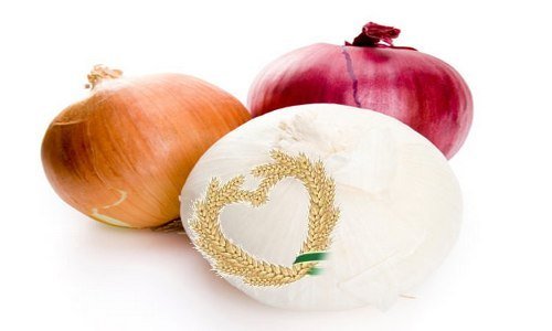 Onion