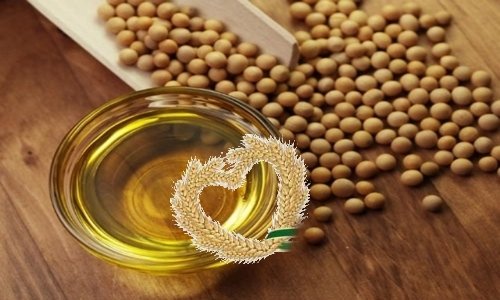 Soya Bean Oil